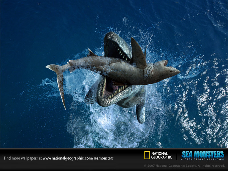 [Tylosaurus+squalicoraxw.jpg]