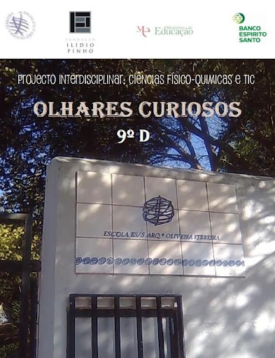 Olhares Curiosos