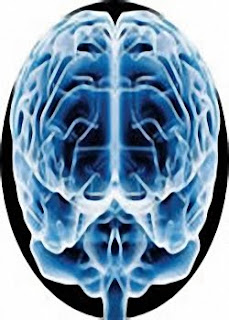 AudioBook Curso Completo de Memorização www.superdownload.us AudioBook+Curso+Completo+de+Memoriza%C3%A7%C3%A3o AudioBook Curso Completo de Memorização