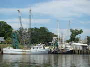 Shrimp Fleet
