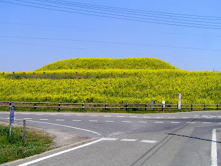 将軍山古墳