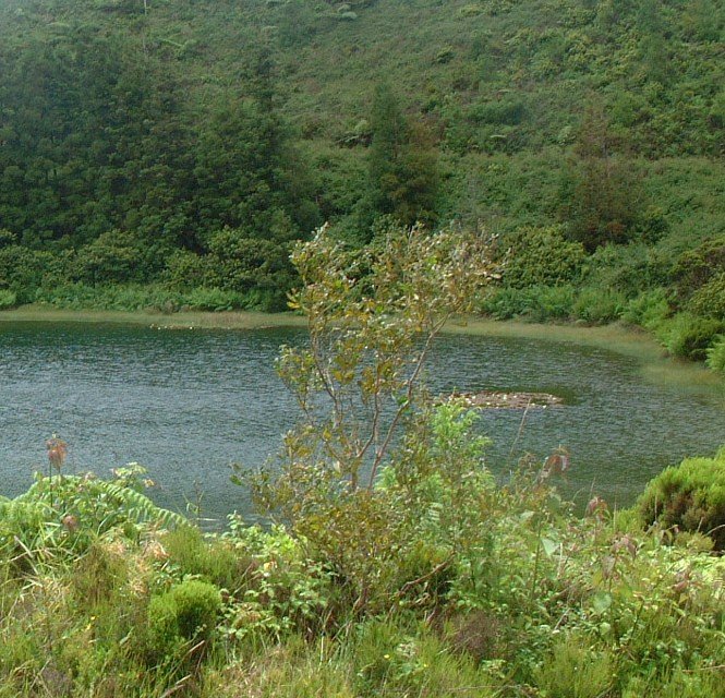 [Lagoa+do+Areeiro1.jpg]
