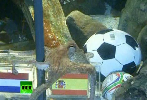 In Memory of Paul the Octopus