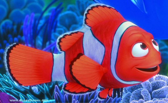 Love Quotes: Cute Nemo Fish Wallpapers For Desktop 2013-2014