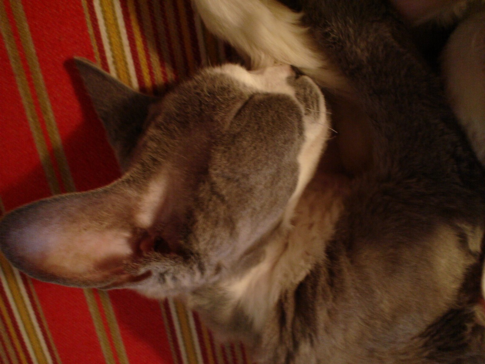 [panamacity+028.jpg]