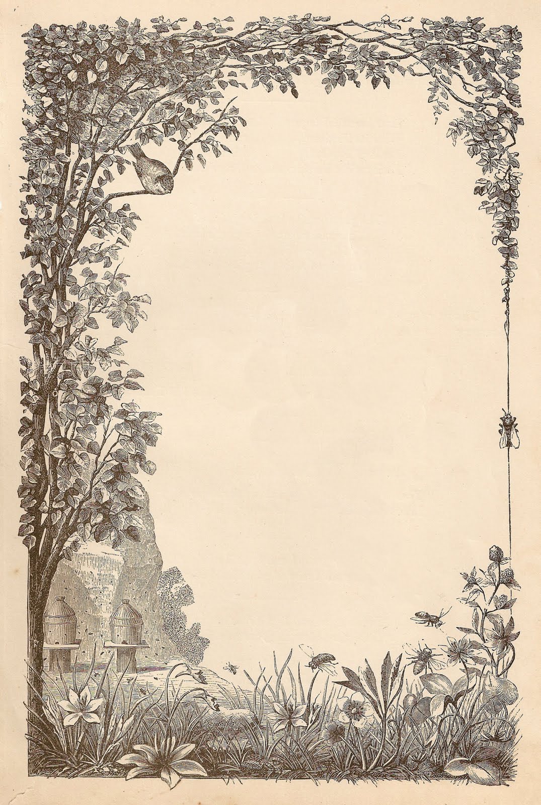 [ScannedImage-9.jpg]