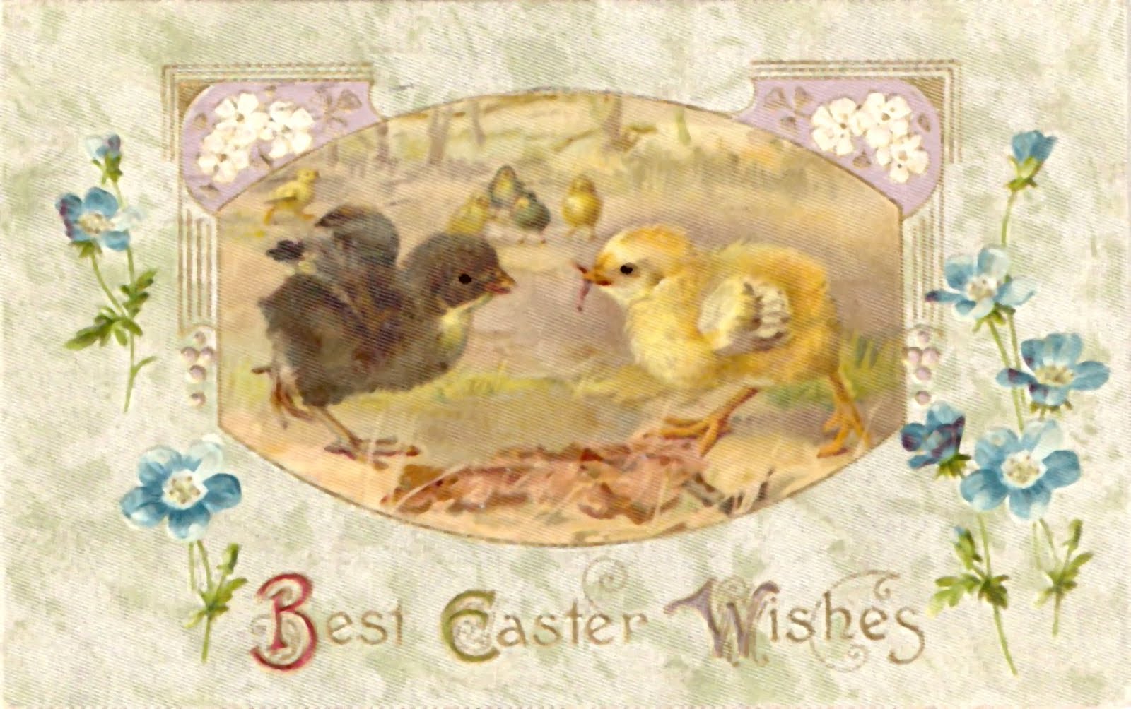 [ScannedImage-11.jpg]