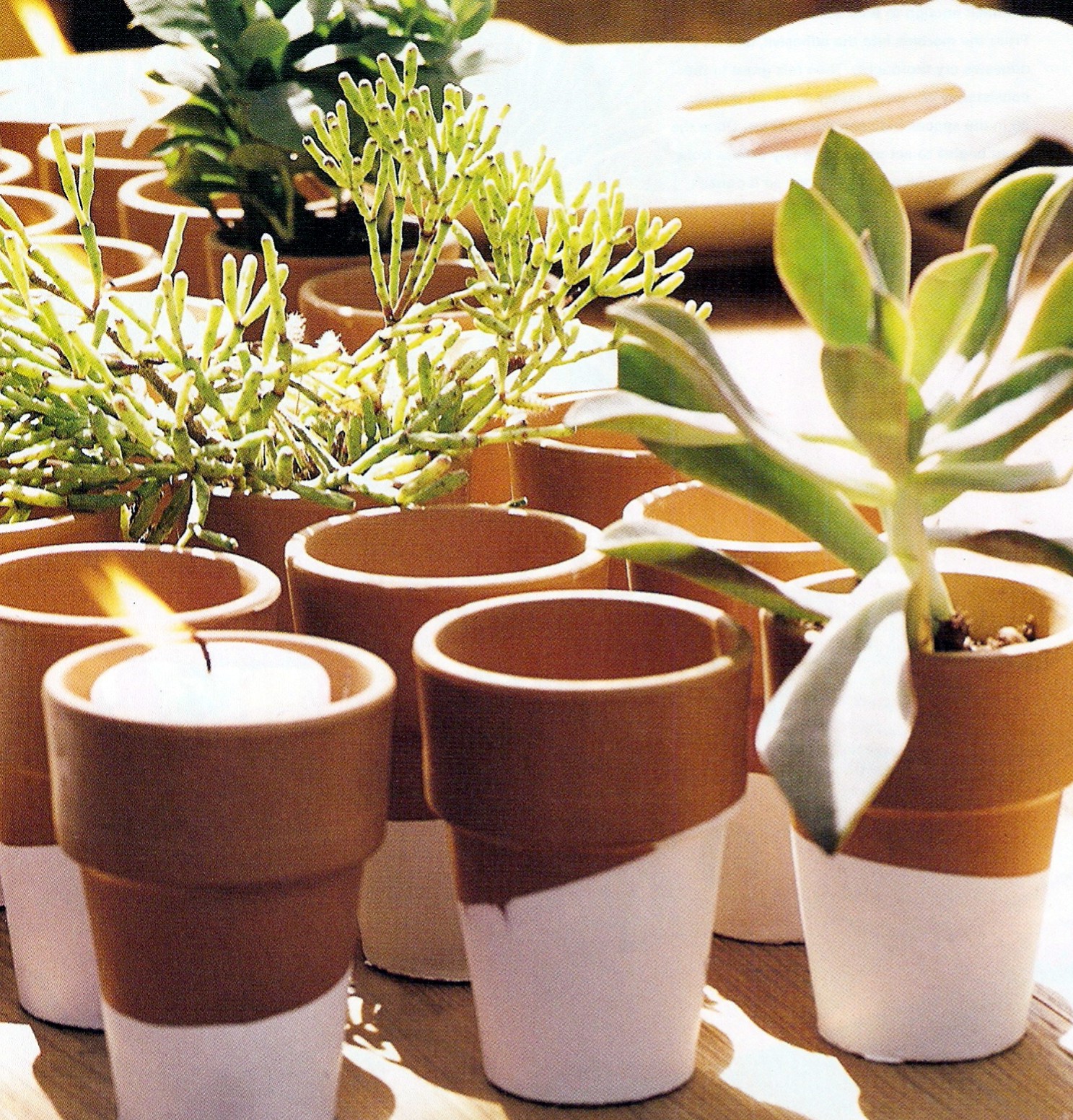 [ScannedImage-7.jpg]