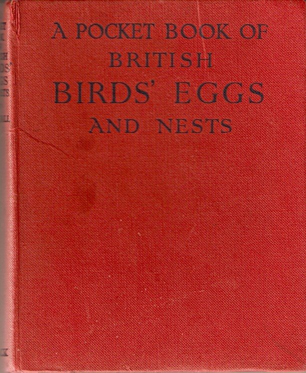 [ScannedImage-3.jpg]