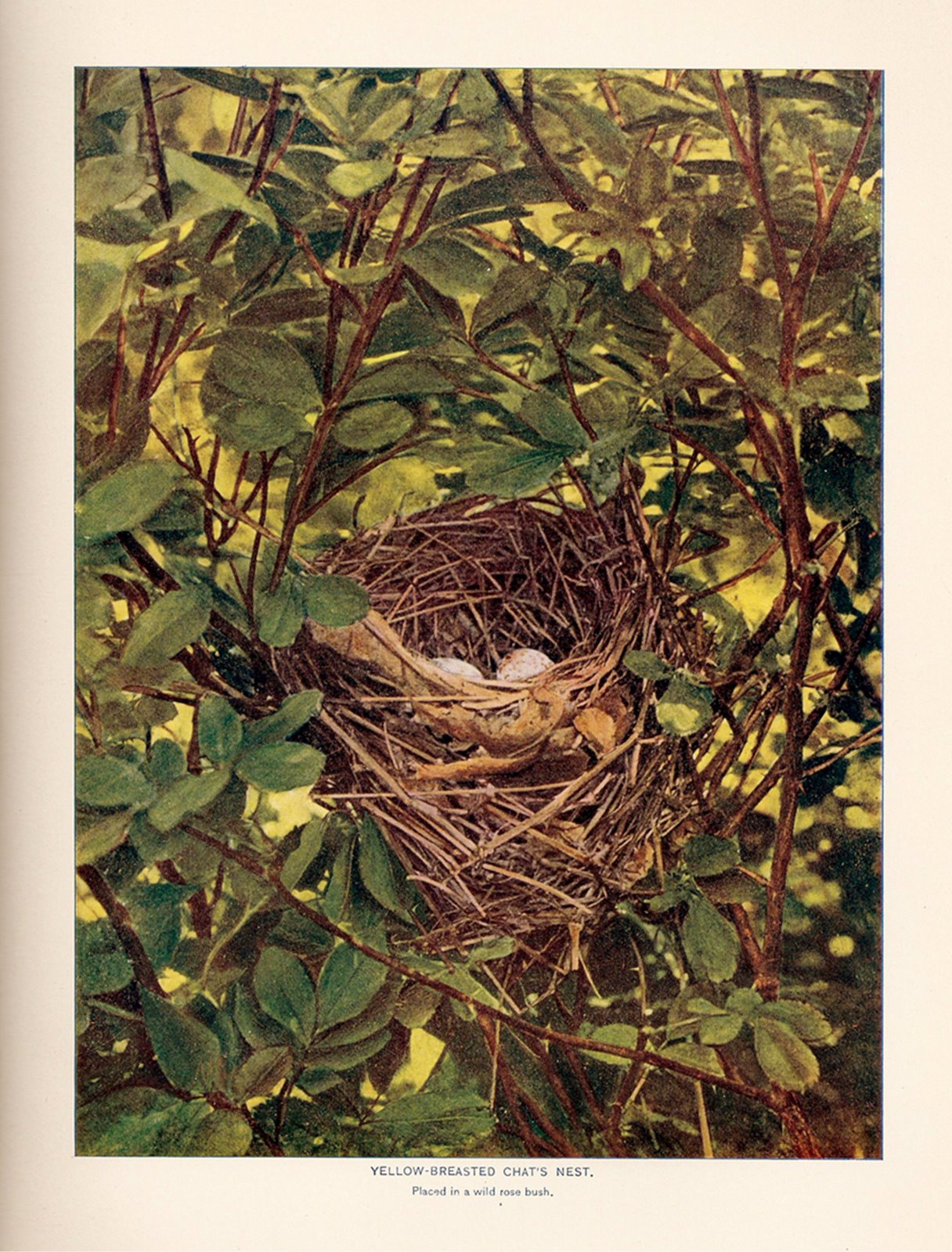 [ScannedImage-17.jpg]