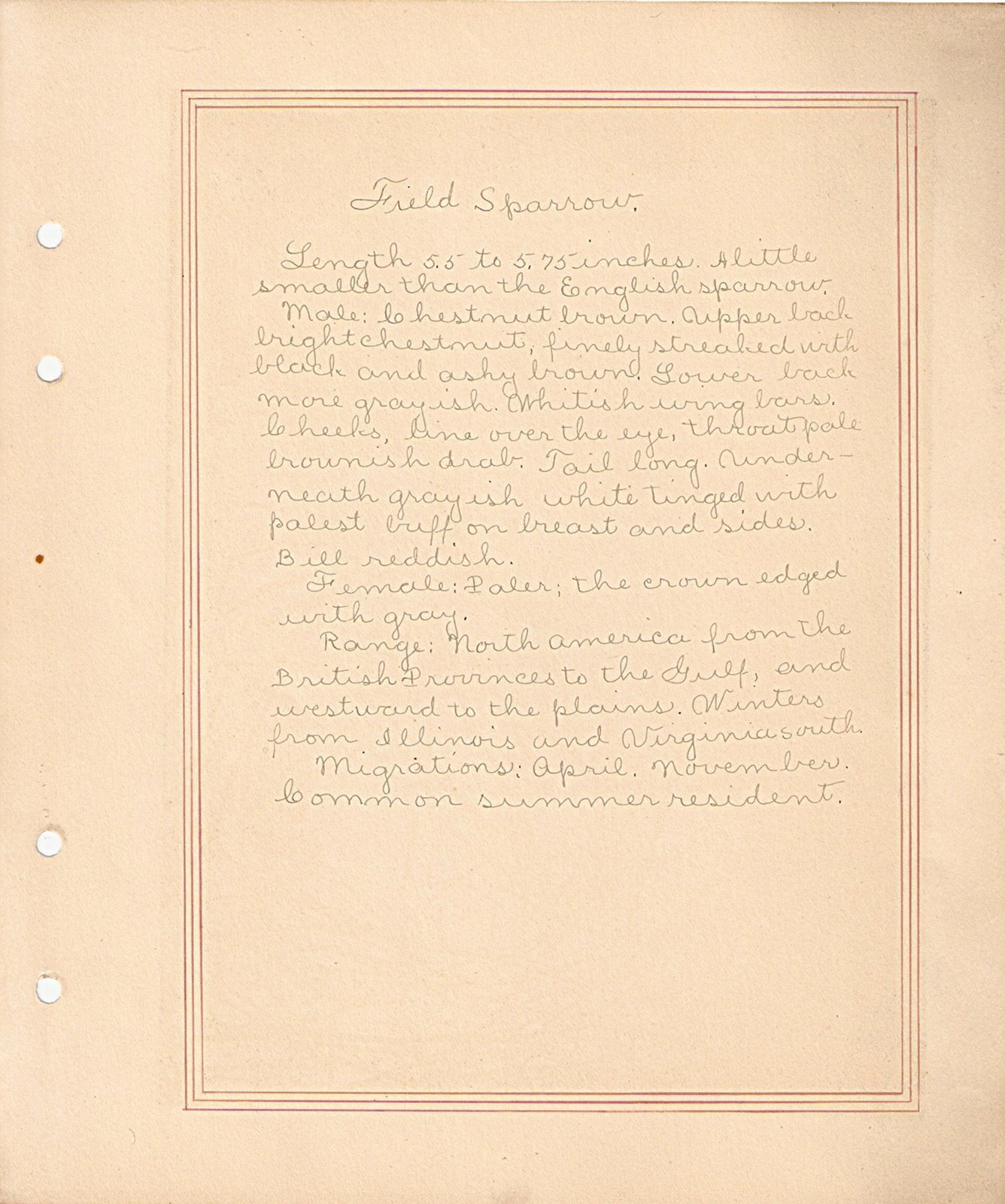 [ScannedImage-13.jpg]