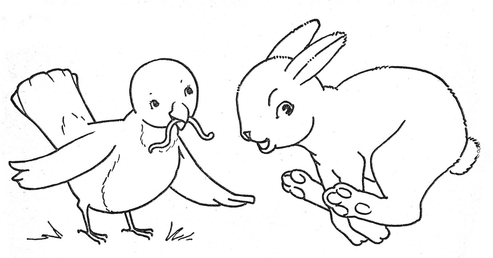 [BirdBunnycleaned.jpg]