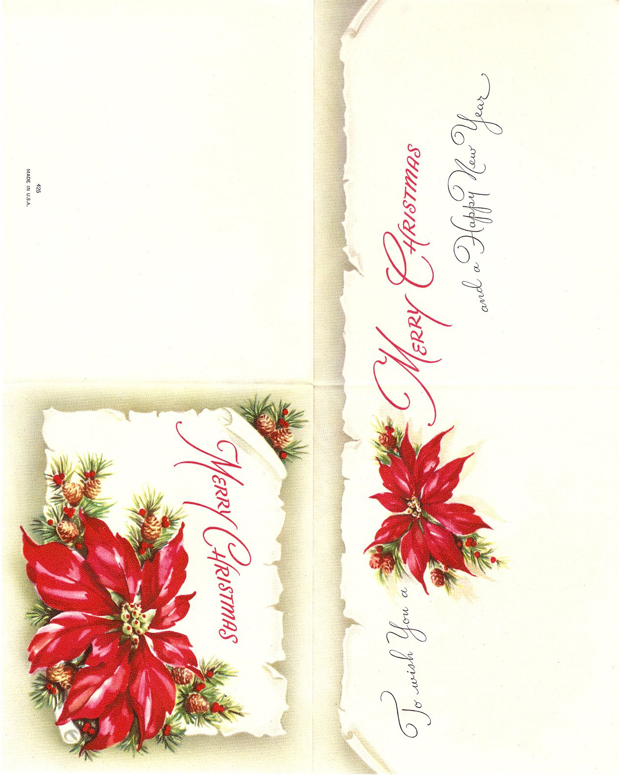 [ScannedImage-2.jpg]