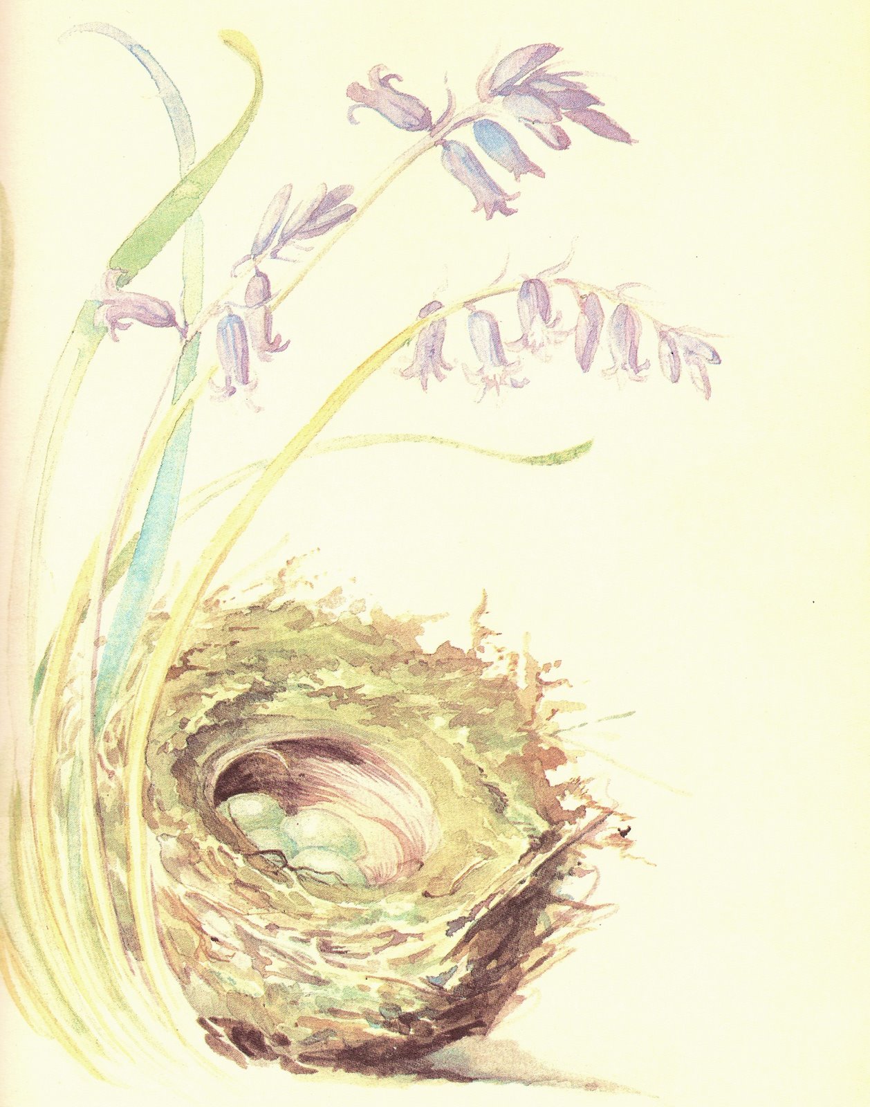 [ScannedImage-26.jpg]