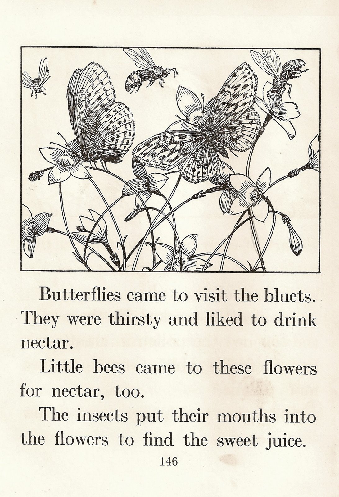 [ScannedImage-13.jpg]