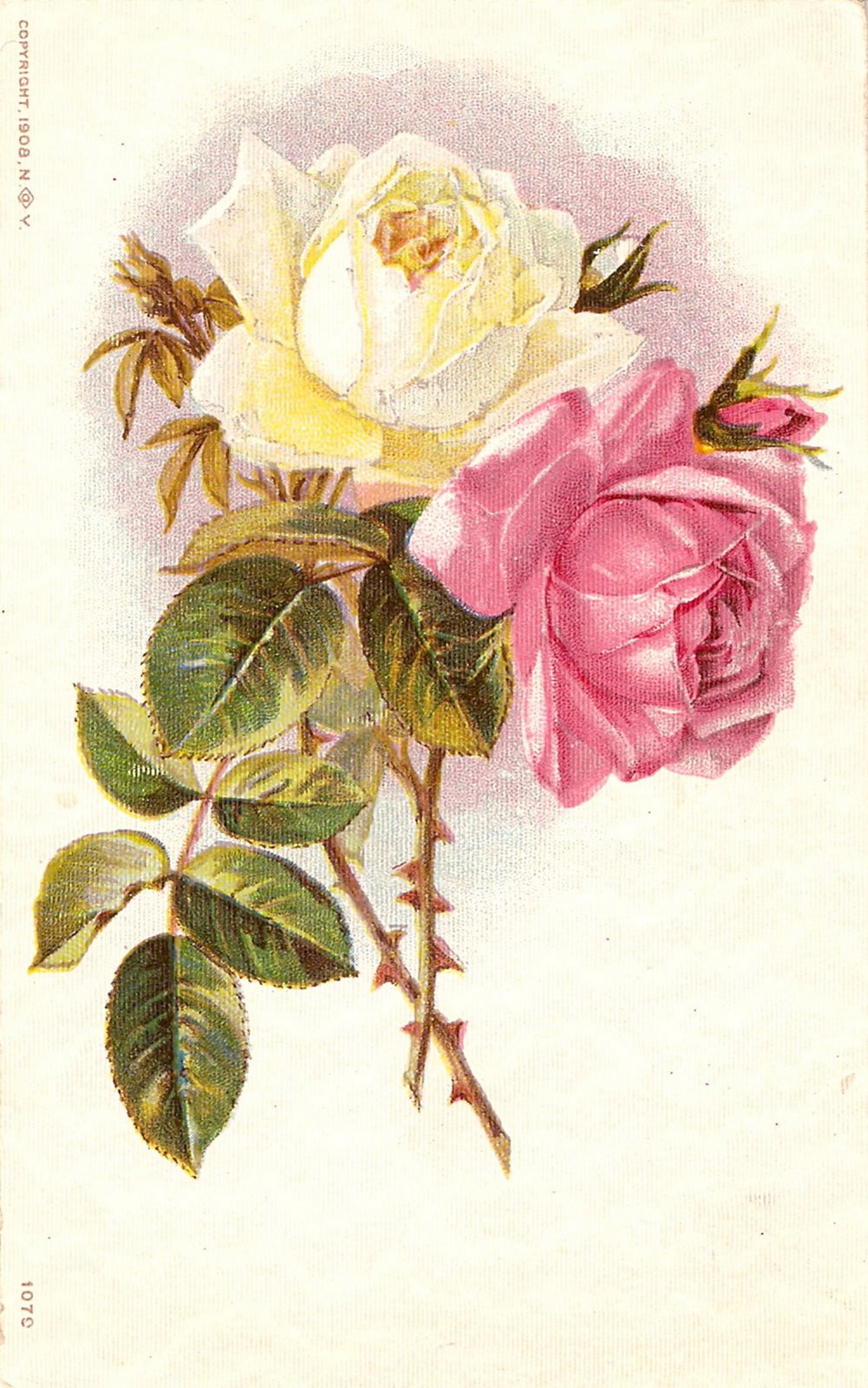 [ScannedImage-7.jpg]