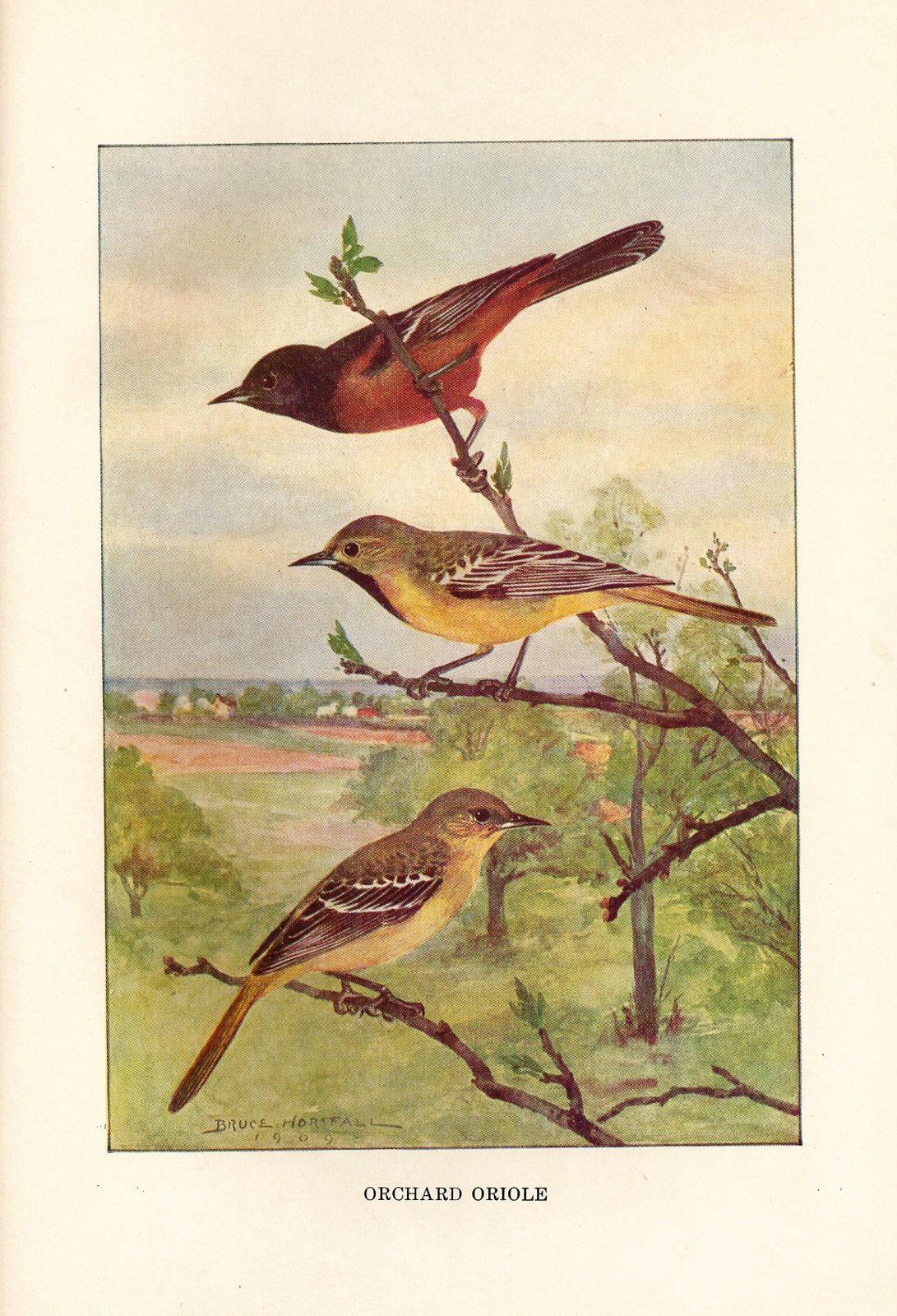 [ScannedImage-3.jpg]