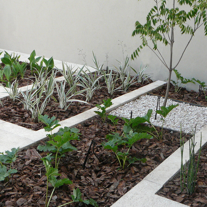 HARTE PONIEMAN & ASOC. Diseño de espacios verdes: Patios y terrazas