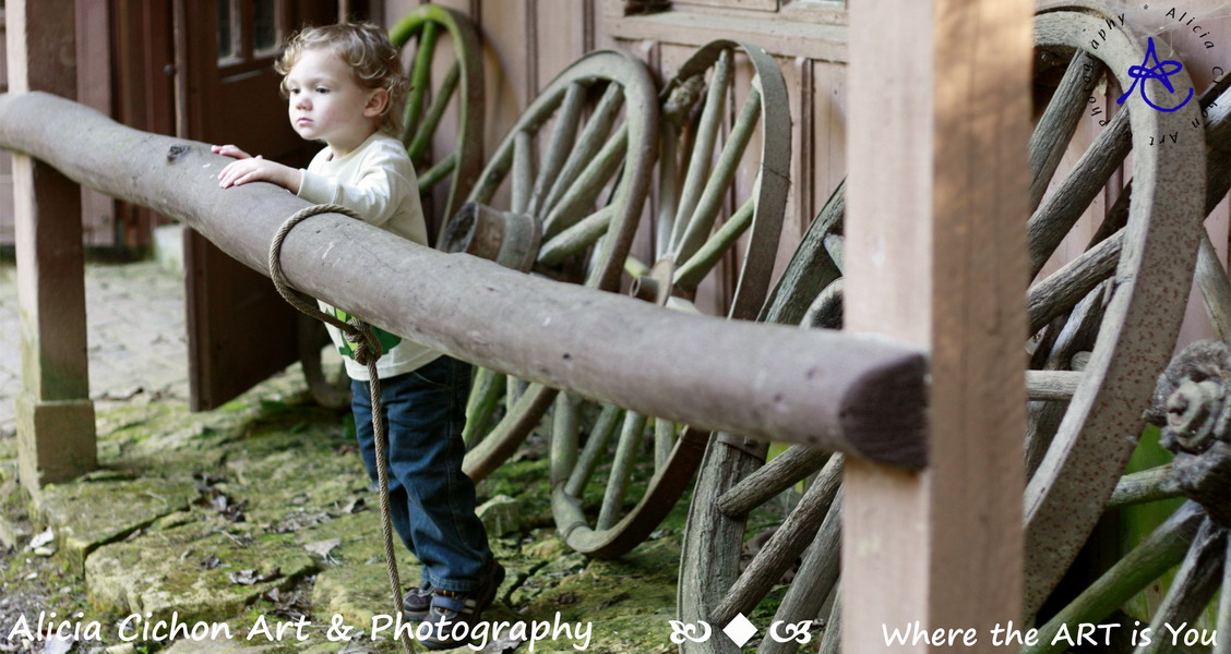 Alicia Cichon Art & Photography - Rates