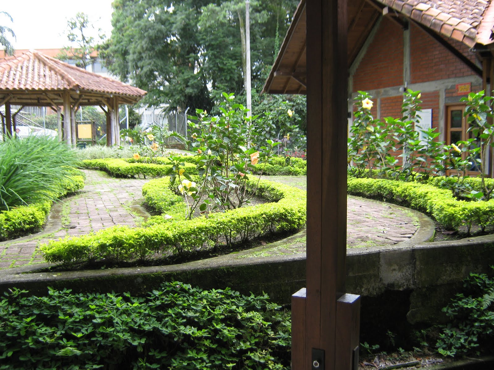 Jardínutp Jardín Botánico Universidad Tecnológica de Pereira