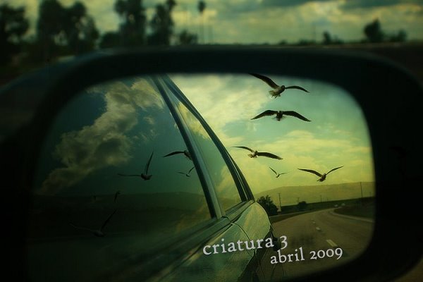 [criatura-abril2009.bmp]