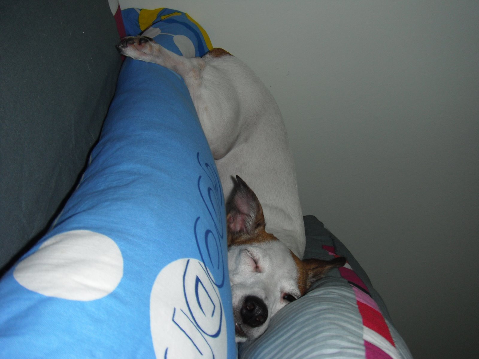 I AM GINGER TAN: Weird Sleeping Positions