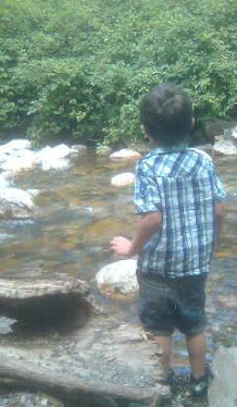I wonder if I can swim all the way to the other side?