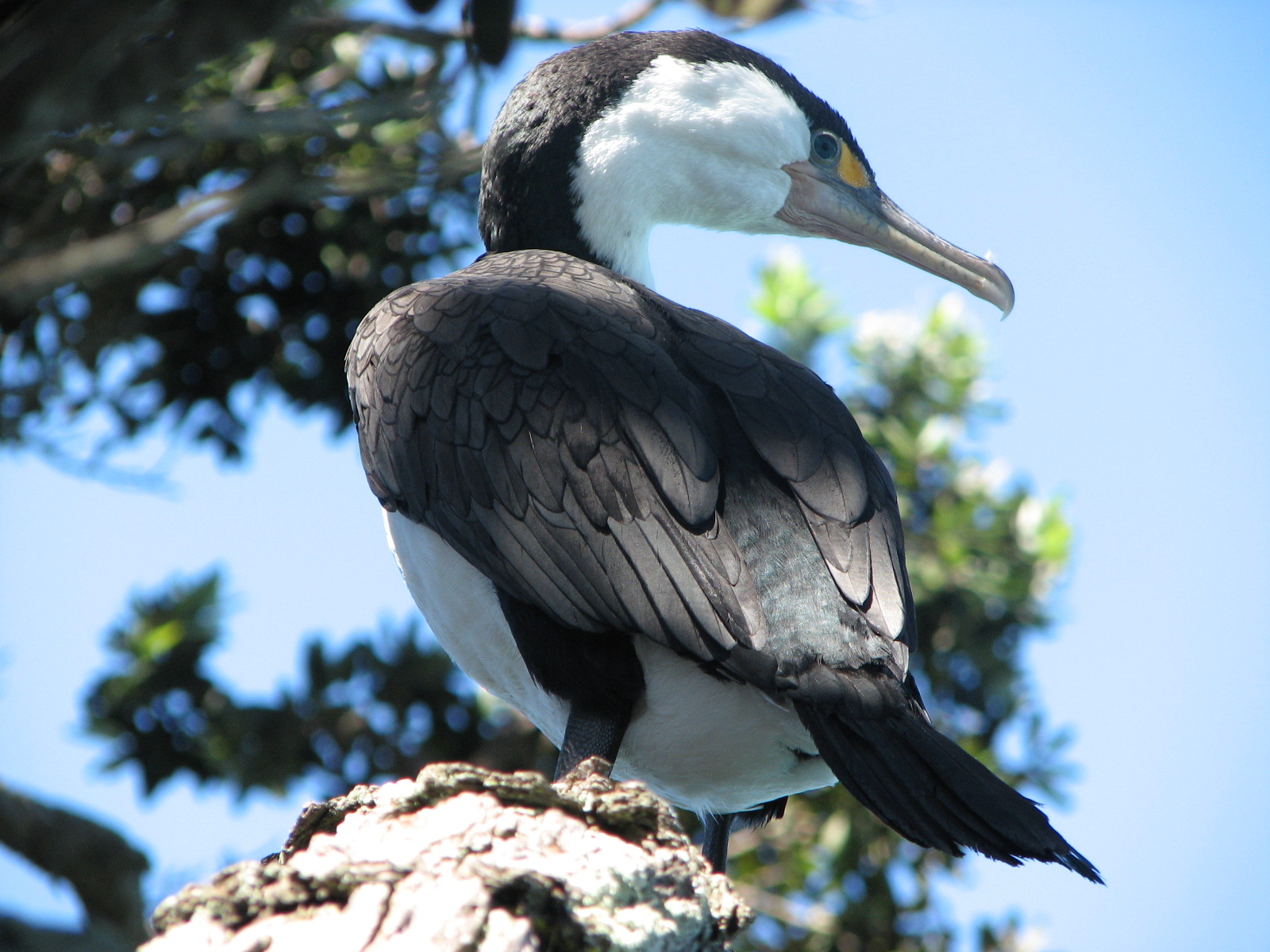 broken-mountain-pictures-from-hill-walking-in-scotland