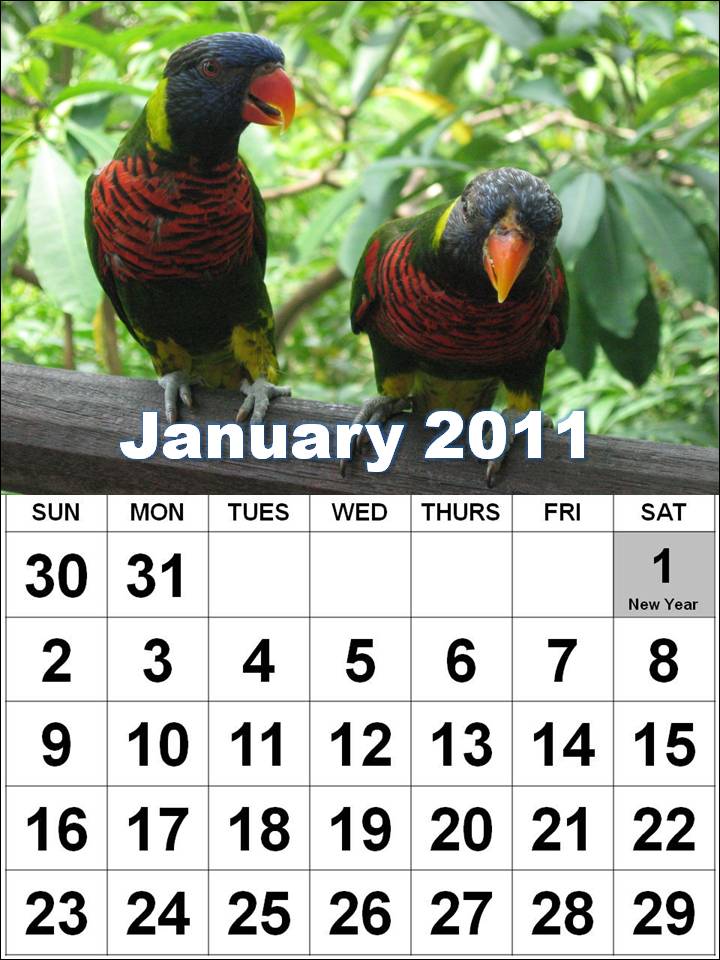 june 2011 calendar with holidays. ref 2011 calendar holiday