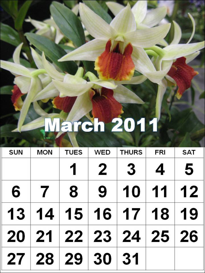 april 2011 calendar canada. +2011+calendar+canada
