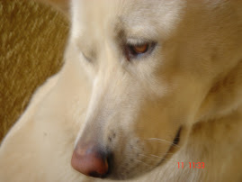 ○○○○○○○○○○○○○○○○