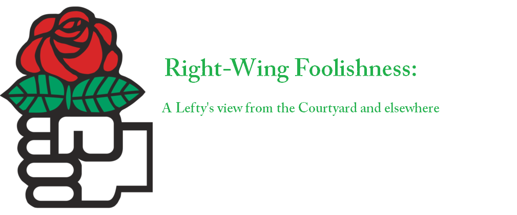 Right Wing Foolishness