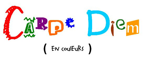 Un an en Argentine - Carpe Diem !