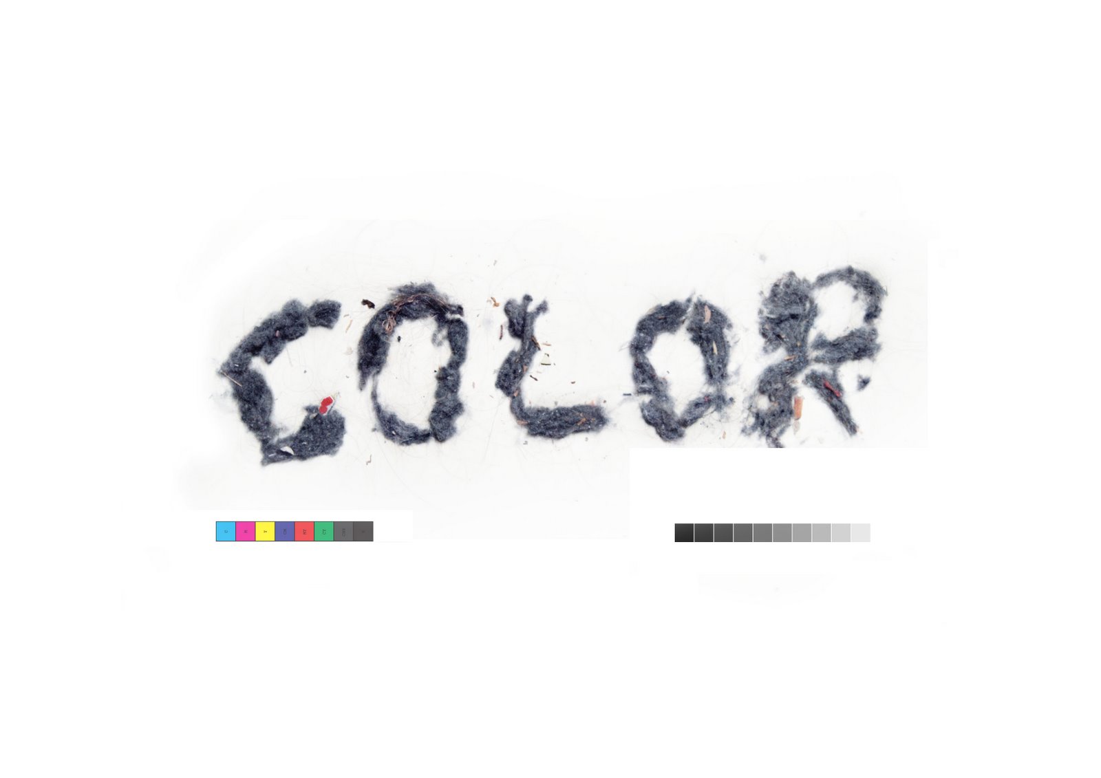 [colo___r.jpg]