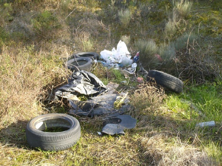 [E.+Paradela++lado+Direito.JPG]