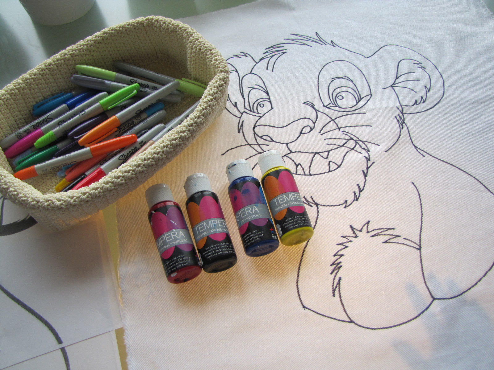 Creative ideas for you Personalized Pillow Painting Kits