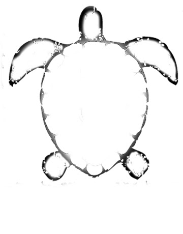 Turtle Templates Www Picturesso Niki Quilted Journey Designing Turtle Quilt Jpg 360x460 Templates