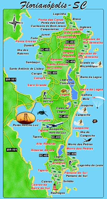 Pagu (observando a vida...): A Ilha Pagu (observando a vida...): A Ilha