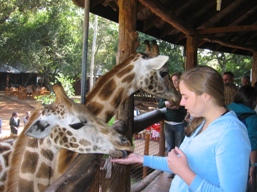 [Kate+feeding+the+Giraffe+at+the+Giraffe+Center+in+Nairobi+.JPG]