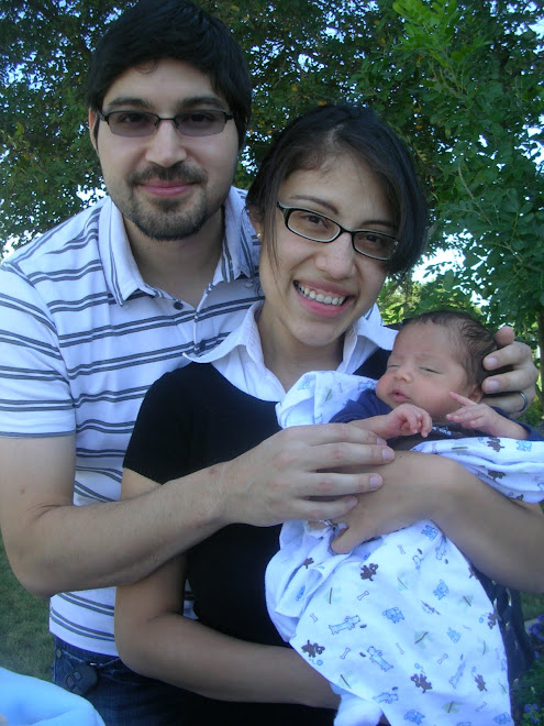 The Alvarados