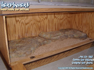 pvc-bearded-dragon-enclosure-8.jpg pvc-bearded-dragon-enclosure-8.jpg