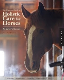 Holistic Care For Horses by Denise Bean - Raymond
