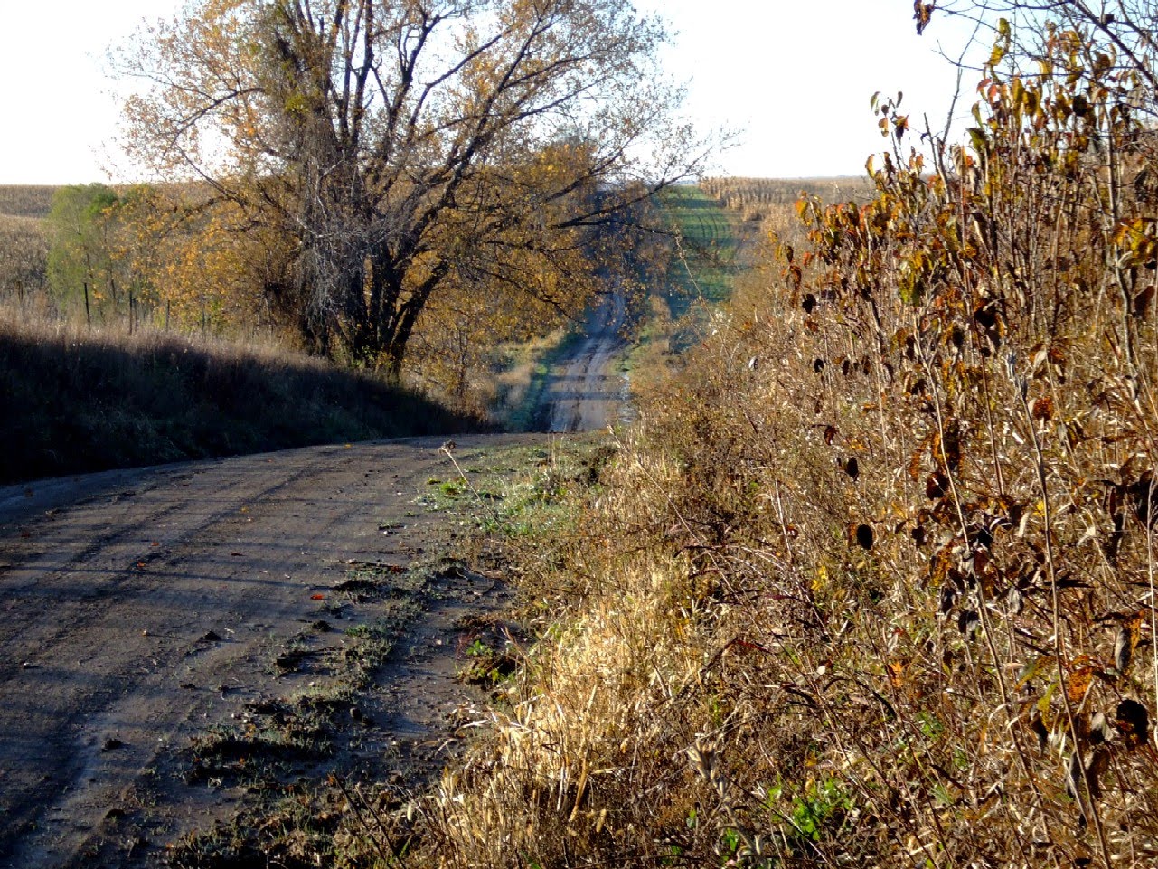 Guitar Ted Productions Trans Iowa Update 9 More On Equipment Choices