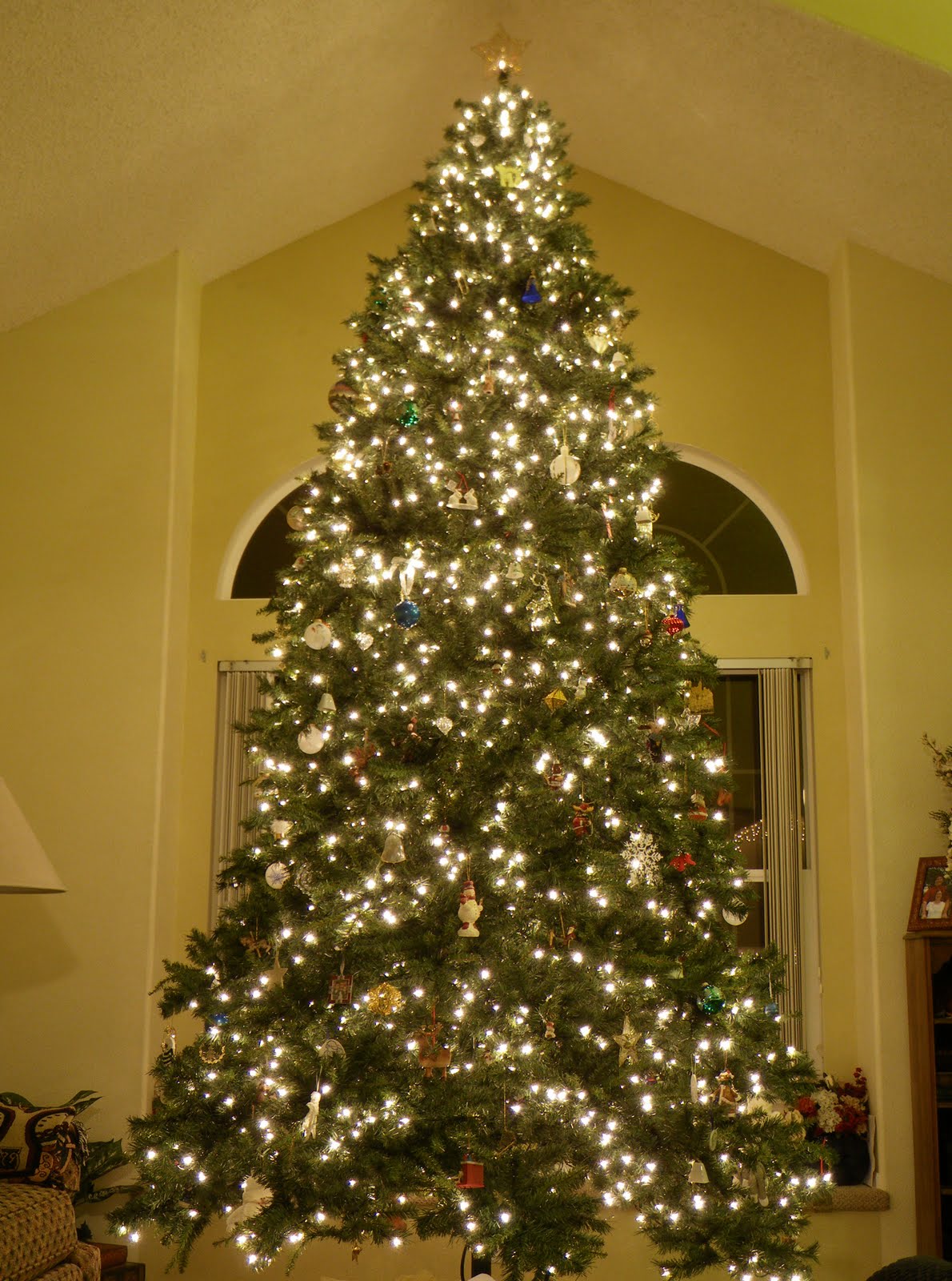 12 foot christmas trees