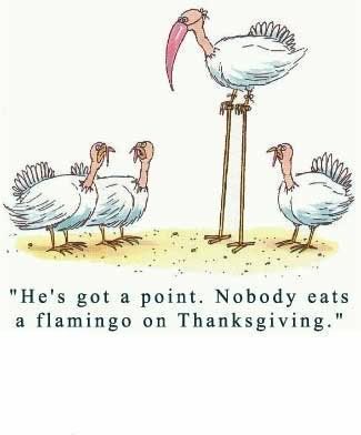 Thanksgiving Funny