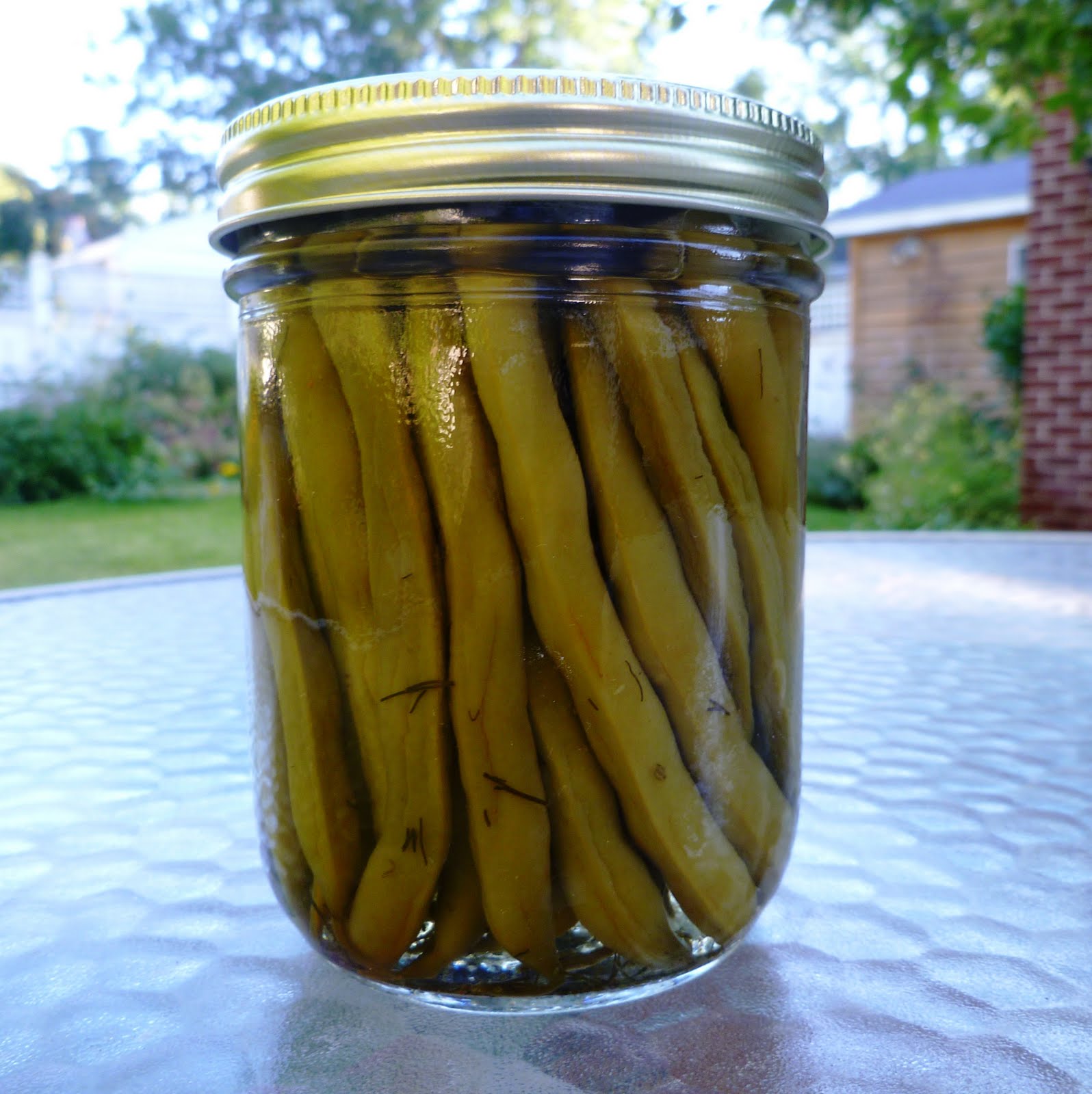 City Home/Country Home Dilly Beans