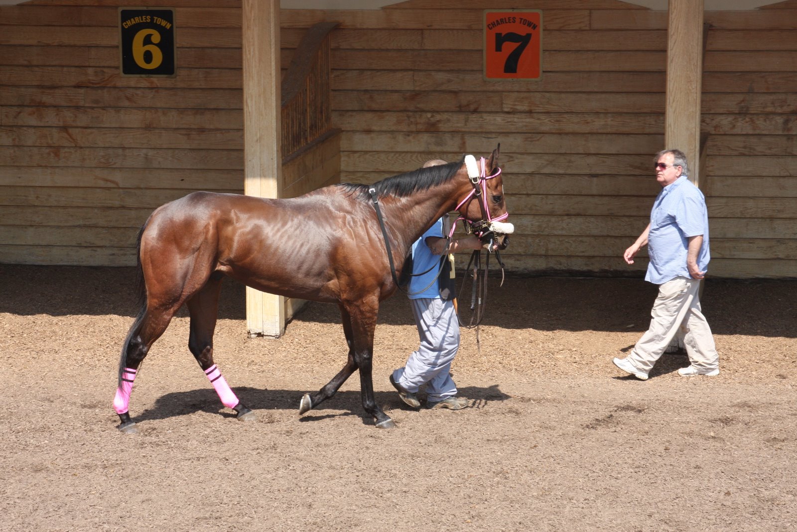 [Gold+getaway+1.jpg]