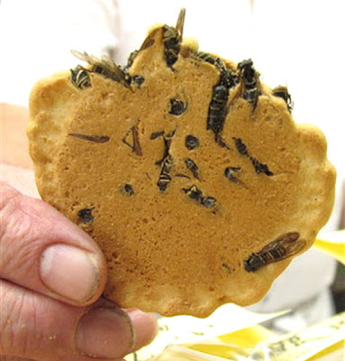 biscuit au miel abeille