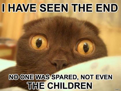 [funny+cat+01.jpg]