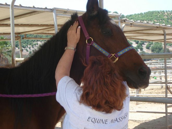 Harvey Gets a Massage!